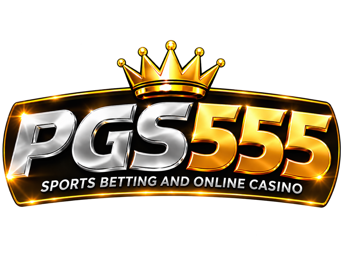 PGS GROUP